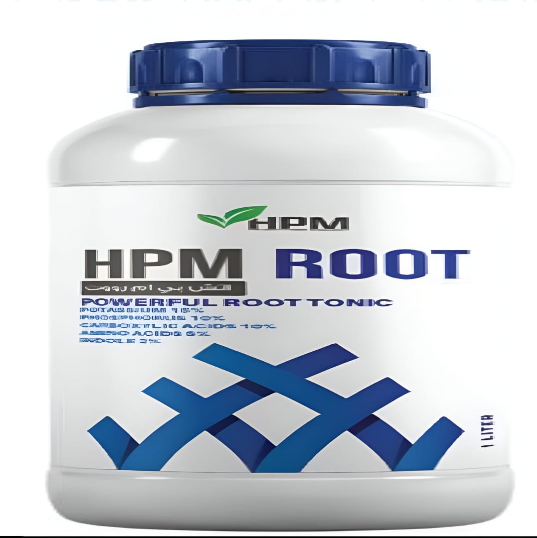 اتش بي ام رووت (مغذي)